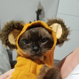 Meet your Posher, Sabrina